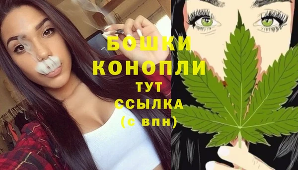мдпв Щёлкино