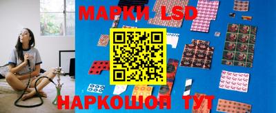 индика Гагарин