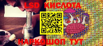 крисы Абакан