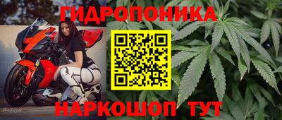 apvp Абакан