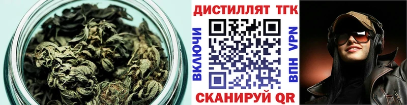 где найти   Губкин  ТГК концентрат 