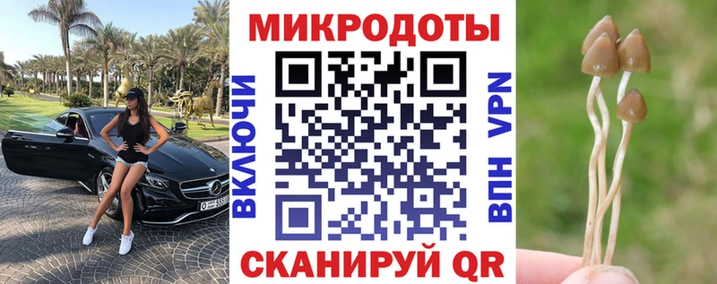 Галлюциногенные грибы GOLDEN TEACHER  купить наркотики цена  Губкин 