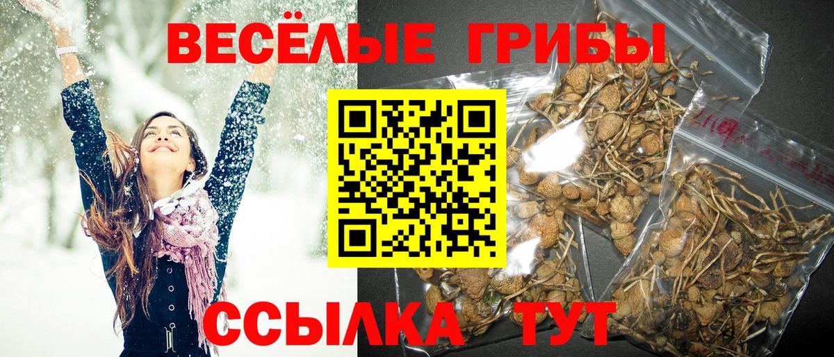 Галлюциногенные грибы MAGIC MUSHROOMS Губкин