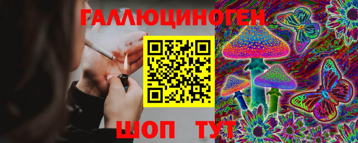 Губкин  Псилоцибиновые грибы Magic Shrooms  Вход с VPN 